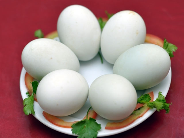 ăn trứng vịt lộn có tác dụng gì, ăn nhiều có tốt không ?