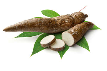 cassavas-and-manioc_article1
