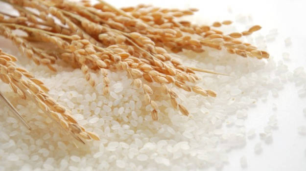Thành phần dinh dưỡng của gạo trắng, gạo tấm, bột gạo