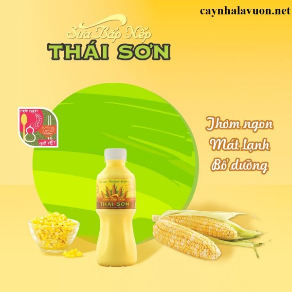 thong-tin-cong-ty-gia-cong-san-xuat-thuc-pham-thai-son-food